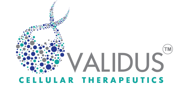 Validus small logo