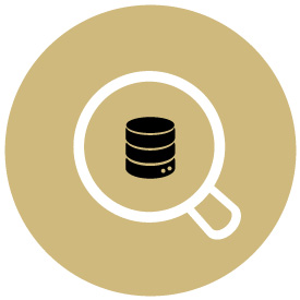 Startup Toolbox Database Button
