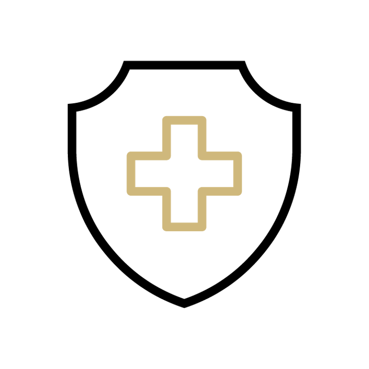 Protect IP security badge icon