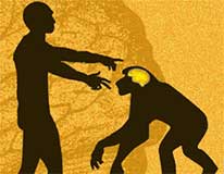 Human and Monkey Illustration