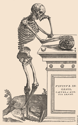 Skeleton illustration with skull