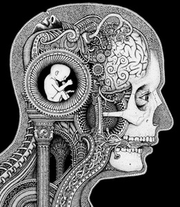 Illustration of human head with doodles