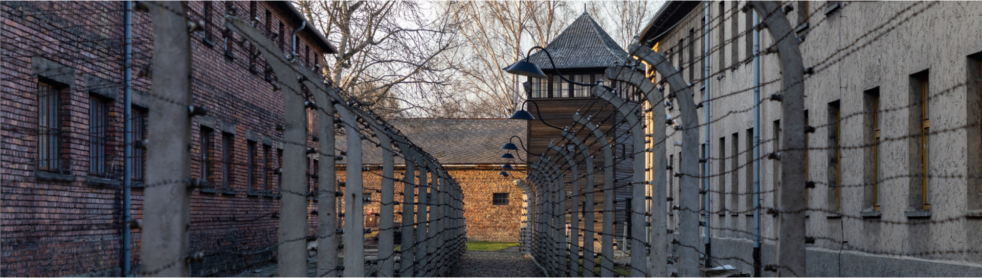 Medical Review Auschwitz: Medicine Behind the Barbed Wire