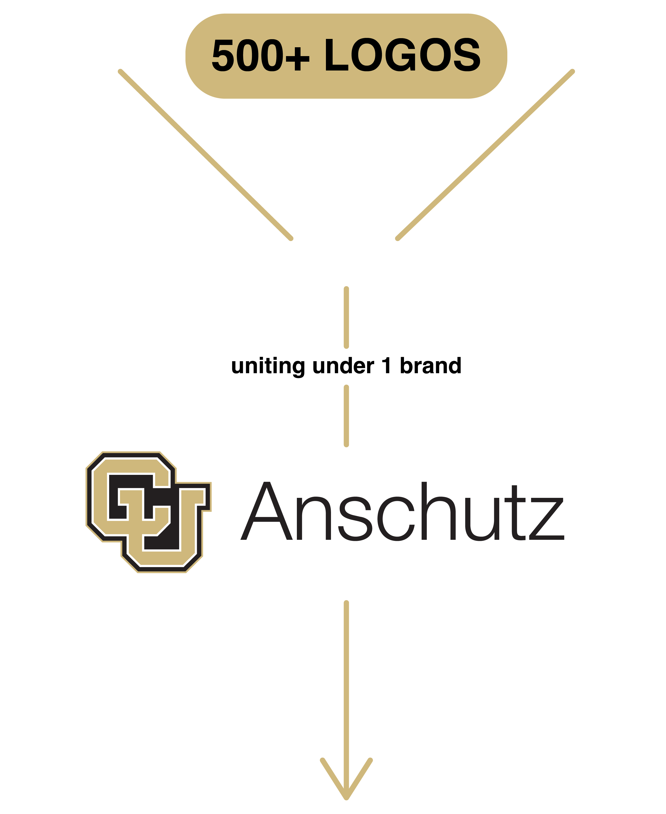 Funnel graphic showing