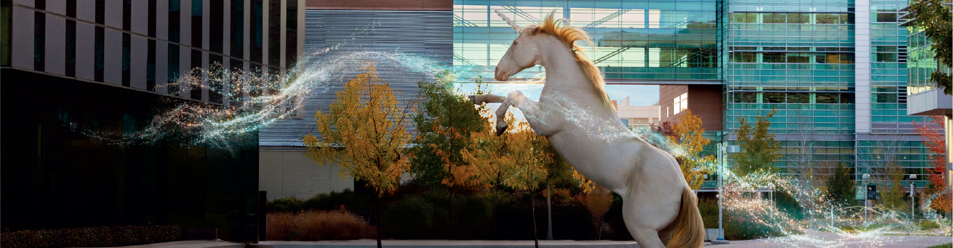 Unicorn on hind legs in front of CU Anschutz