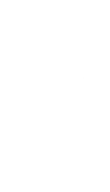 Decorative white dots