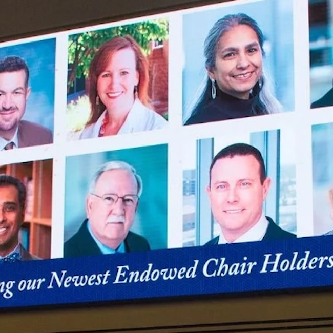 A group of endowed chair holders on a screen